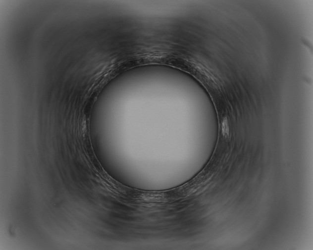 X0000092241299200709140955