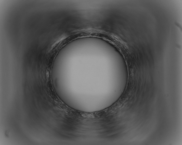 X0000092241302200709140955