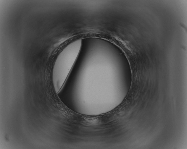 X0000092241303200709140955