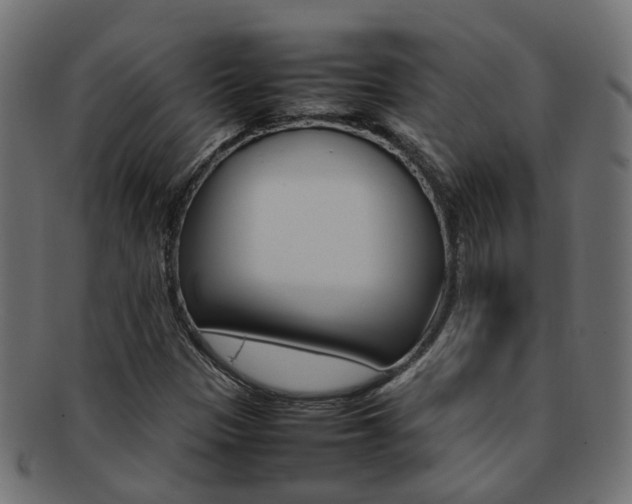 X0000092241305200709140955