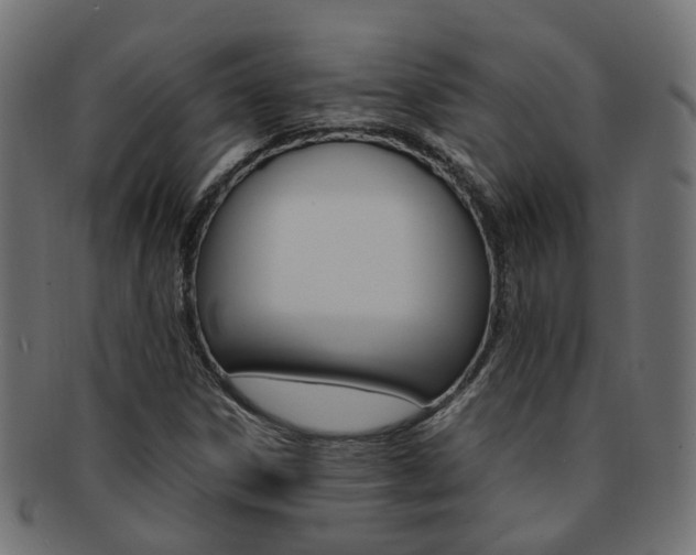 X0000092241306200709140955