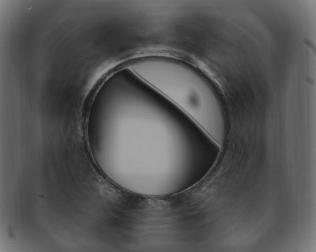 X0000092241312200709140955