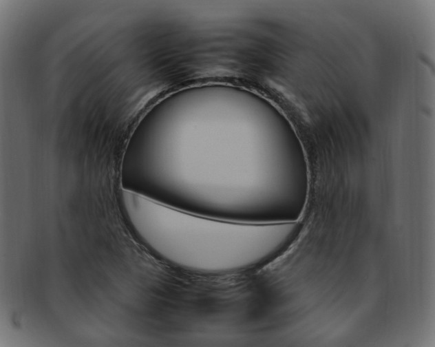 X0000092241313200709140955
