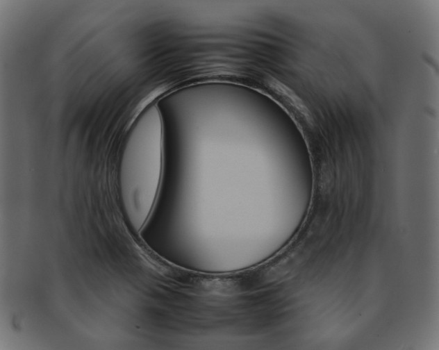 X0000092241321200709140955