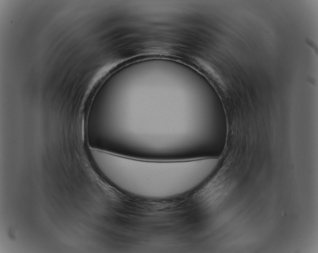 X0000092241323200709140955