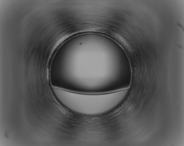 X0000092241324200709140955