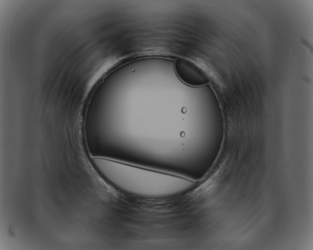 X0000092241325200709140955