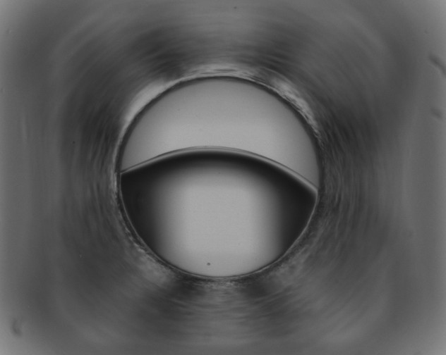 X0000092241328200709140955