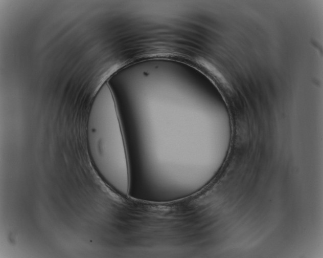 X0000092241329200709140955