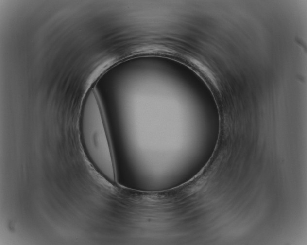 X0000092241330200709140955