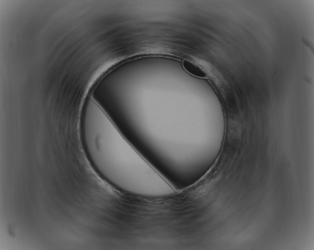 X0000092241331200709140955