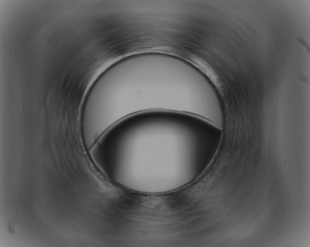 X0000092241332200709140955