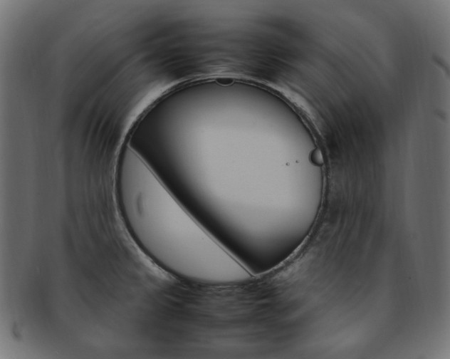 X0000092241333200709140955