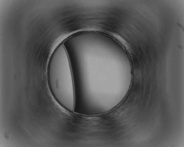 X0000092241335200709140955