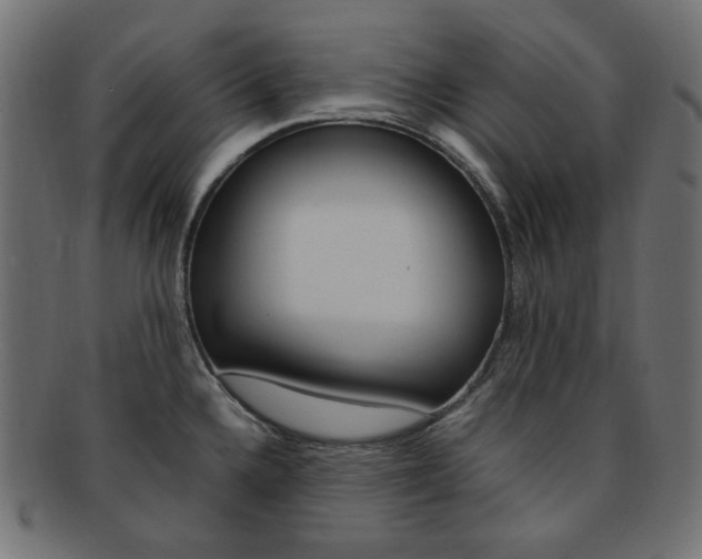 X0000092241336200709140955
