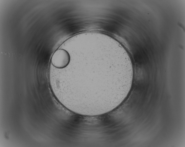 X0000092241338200709140955