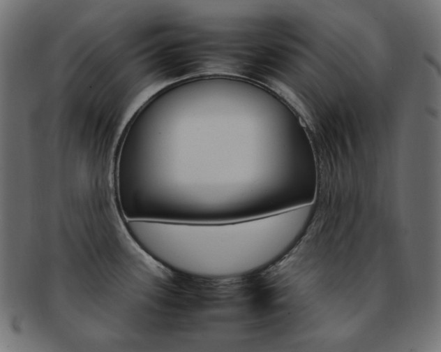 X0000092241339200709140955