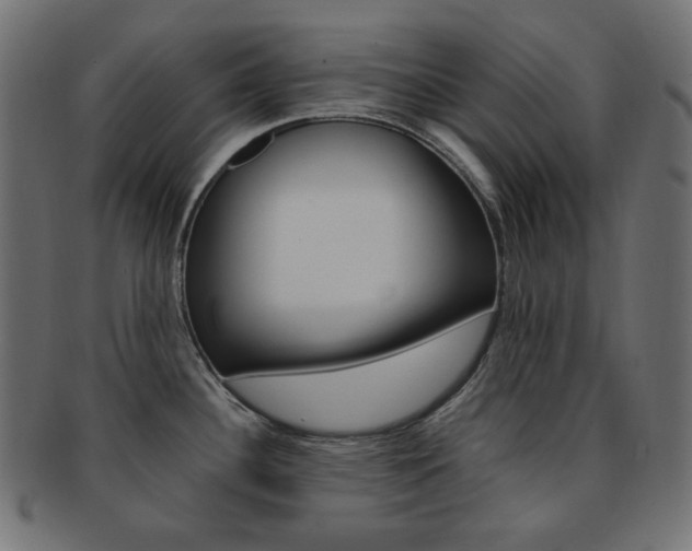 X0000092241340200709140955