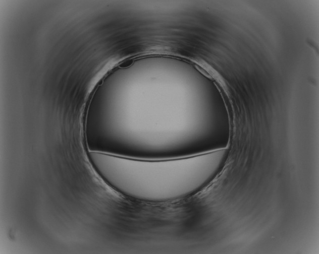 X0000092241341200709140955