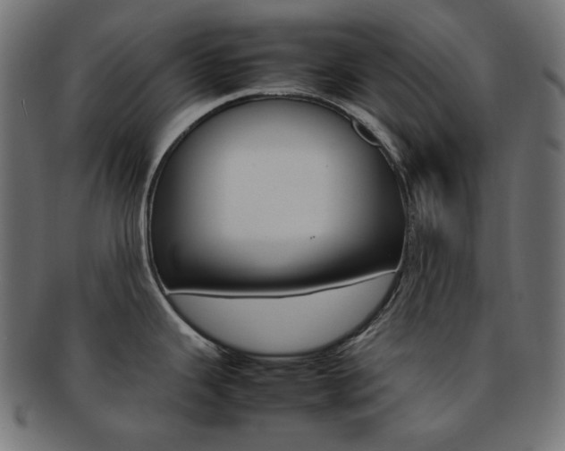 X0000092241343200709140955