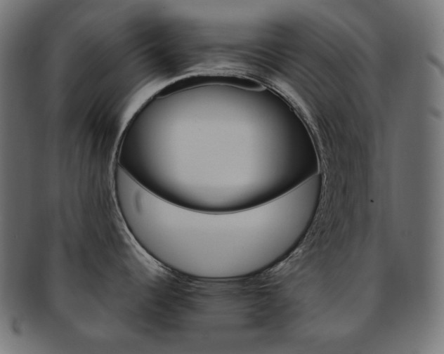 X0000092241344200709140955