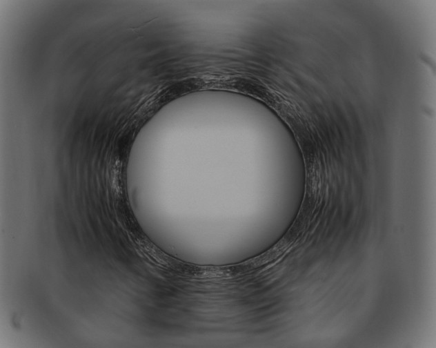 X0000092241346200709140955