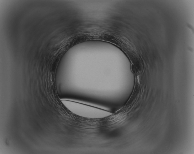 X0000092241347200709140955