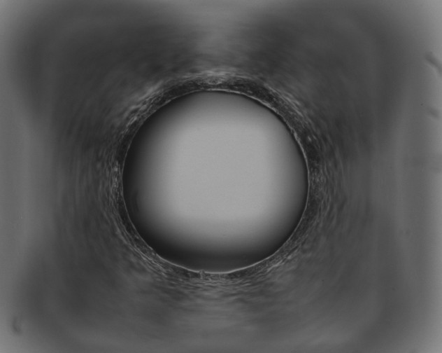 X0000092241349200709140955