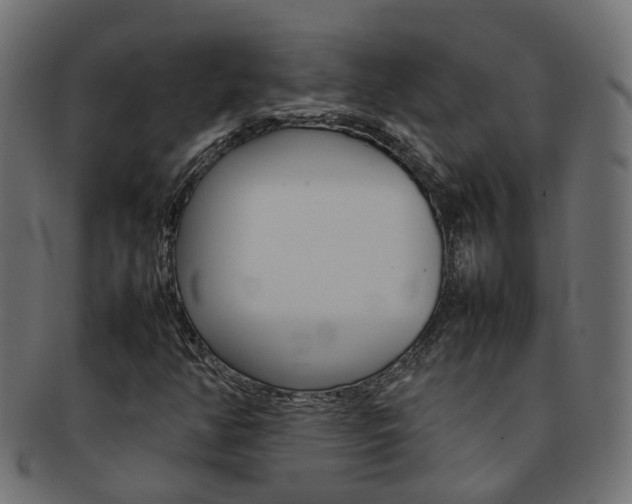 X0000092241350200709140955