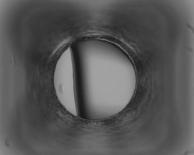 X0000092241351200709140955
