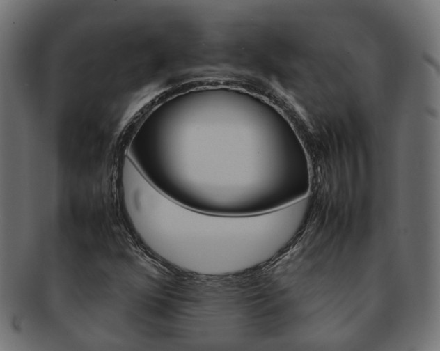 X0000092241352200709140955