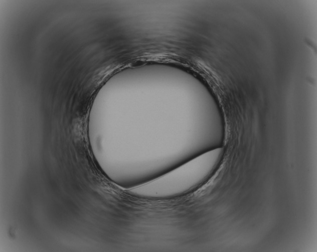 X0000092241353200709140955