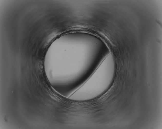 X0000092241355200709140954