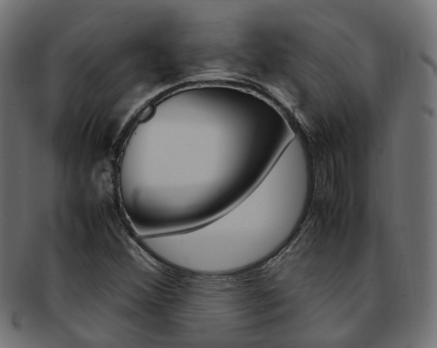 X0000092241356200709140954