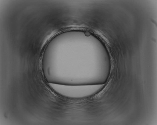 X0000092241357200709140954