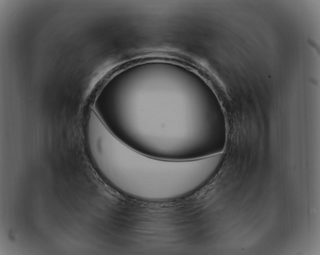X0000092241360200709140954