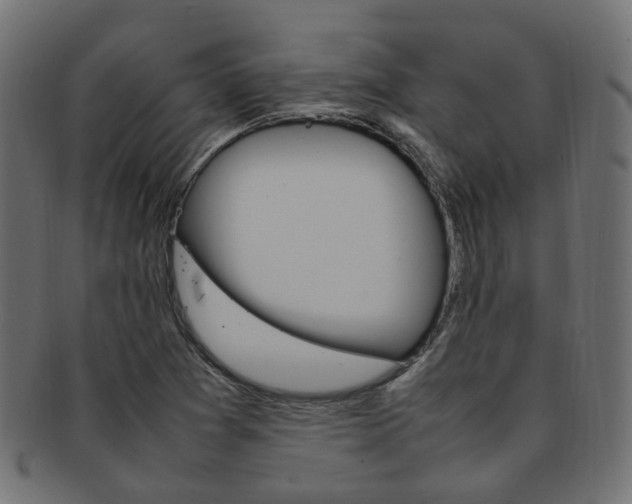 X0000092241361200709140954