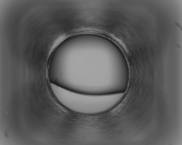 X0000092241365200709140954