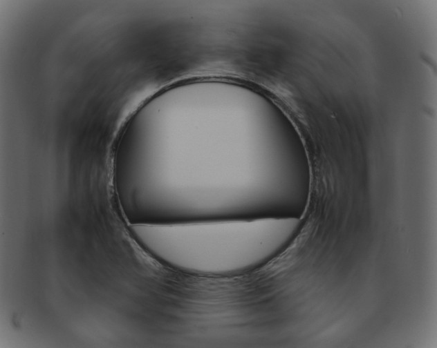 X0000092241366200709140954