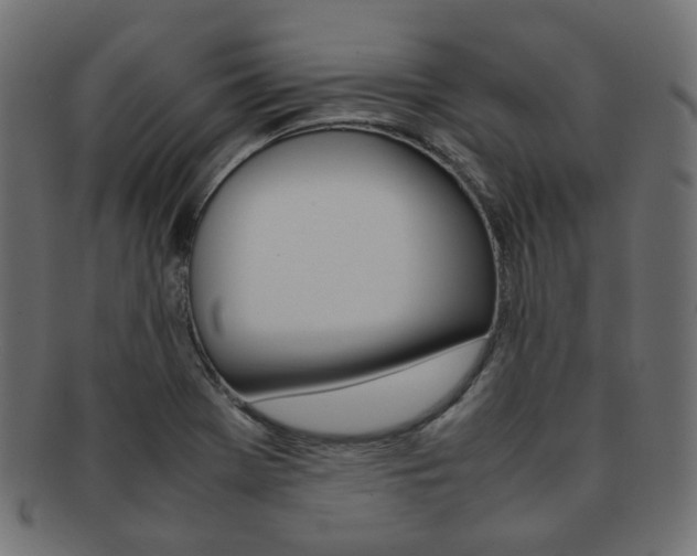 X0000092241369200709140954