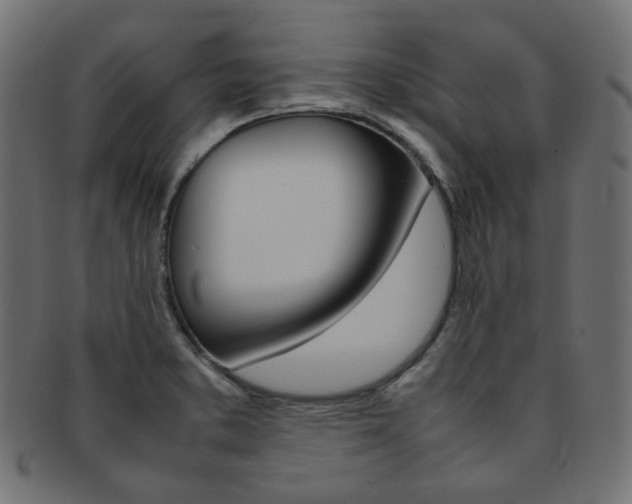 X0000092241373200709140954