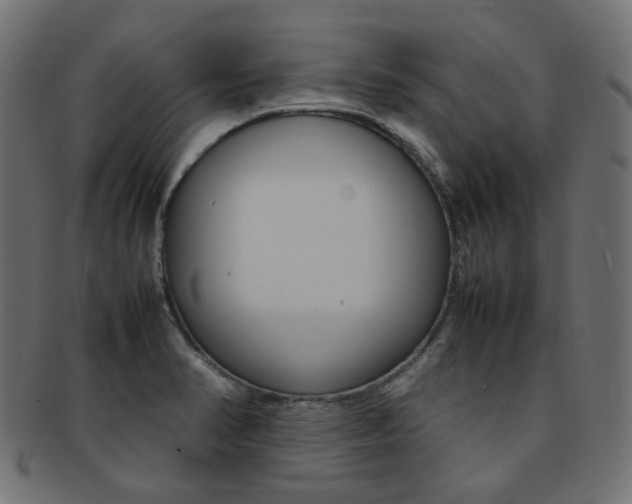X0000092241374200709140954