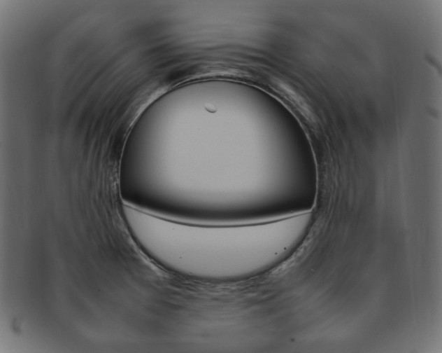 X0000092241377200709140954