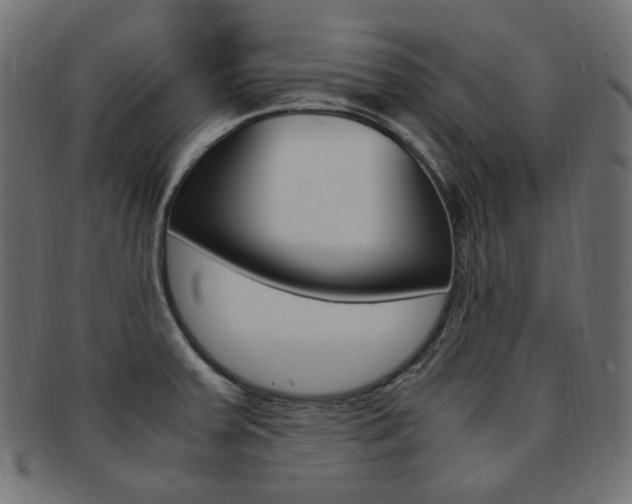 X0000092241379200709140954