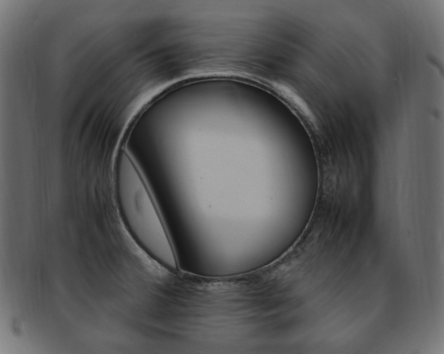 X0000092241380200709140954