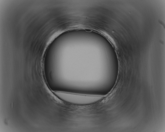 X0000092241381200709140954