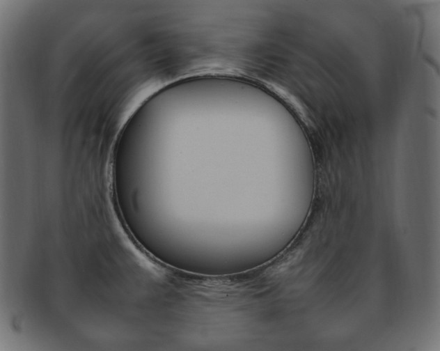 X0000092241383200709140954