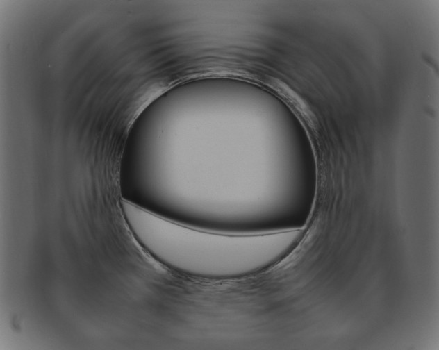 X0000092241385200709140954