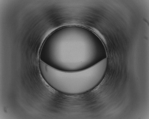 X0000092241388200709140954