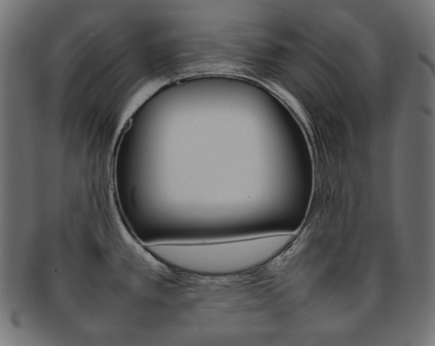 X0000092241389200709140954